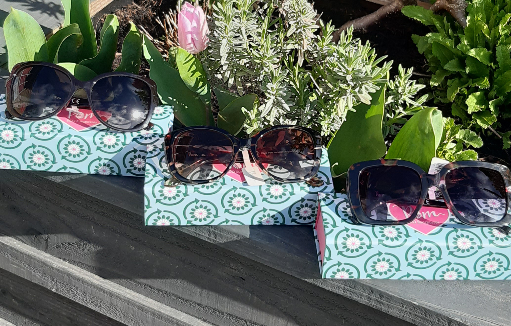 Topiary Tree - Topiary Tree Sunglasses